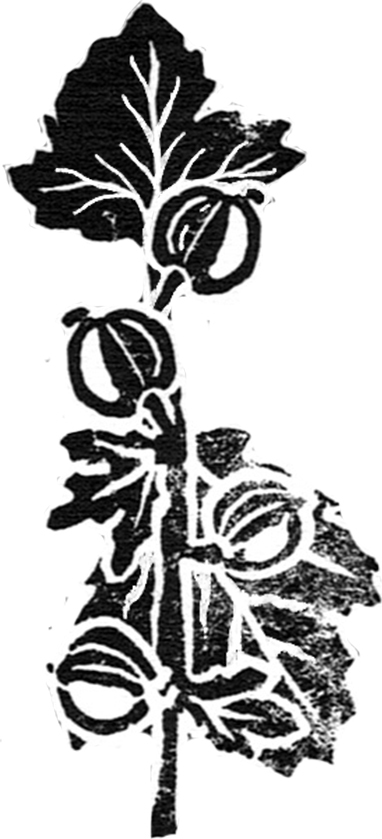 rot5